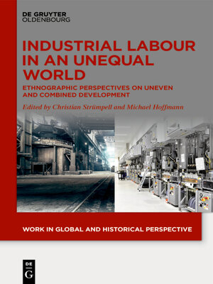 cover image of Industrial Labour in an Unequal World